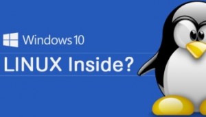 Windows 10 Linux 350px