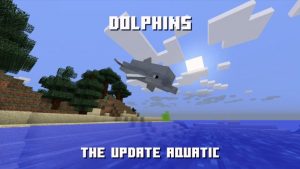 Update Aquatic dolphins