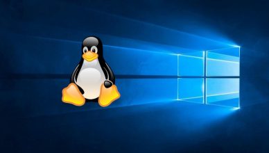 Linux, Windows logo