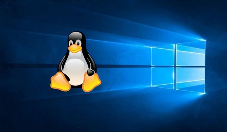 Linux, Windows logo