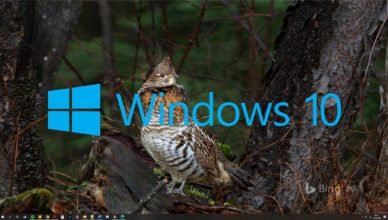 Windows 10 zmiana tapet
