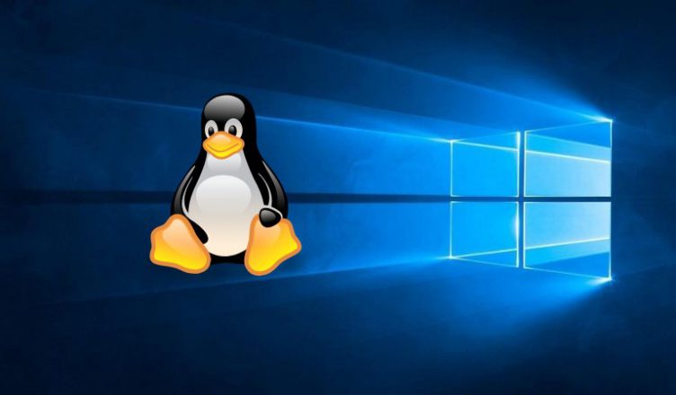 Linux, Windows logo