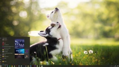 Windows 10 21H2