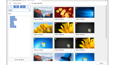 AnyDesk Windows